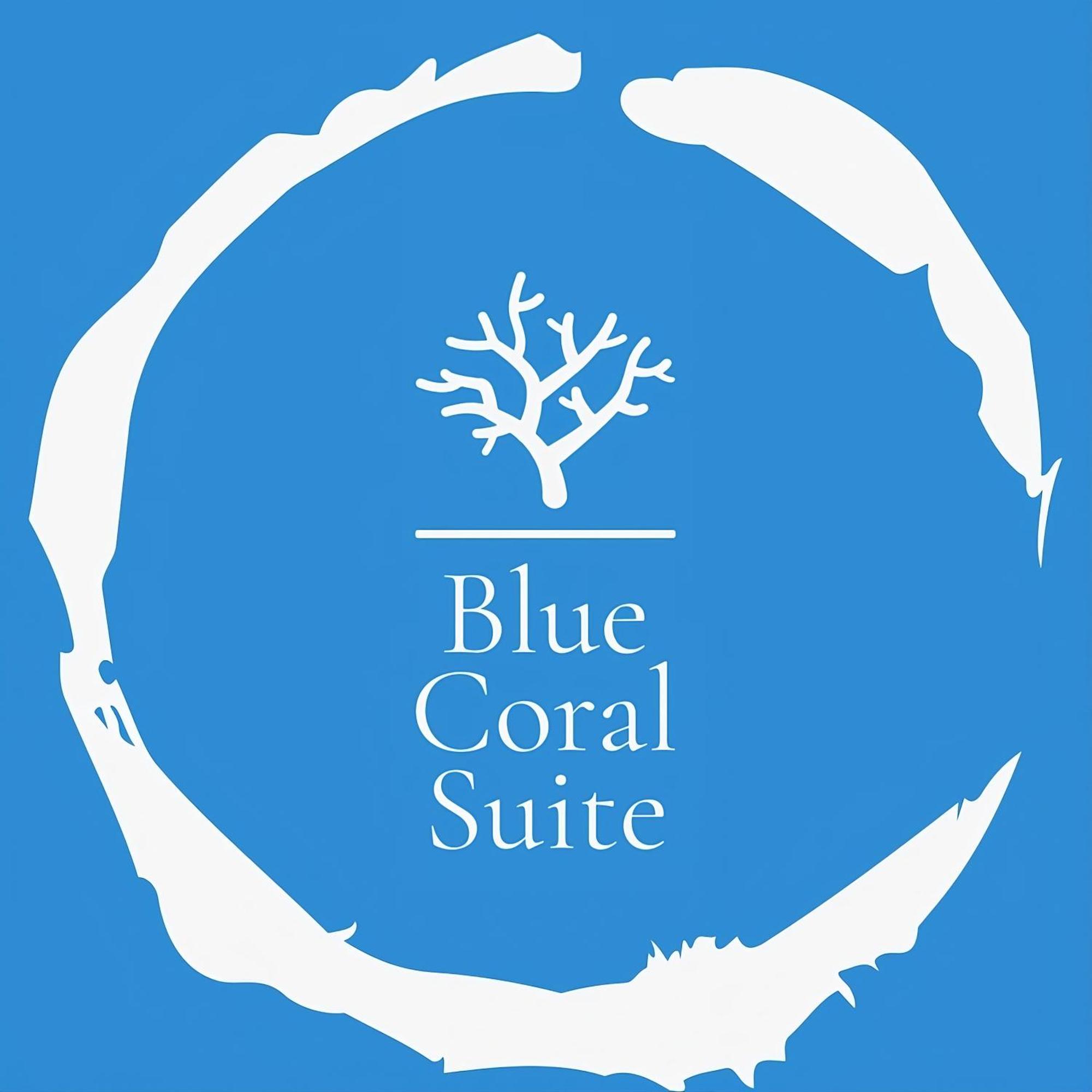 Blue Coral Suite B&B Półwysep Sorrentyński Zewnętrze zdjęcie